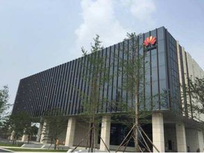 眾巨頭入駐襄陽云谷，金融外包服務繪就城市未來新藍圖